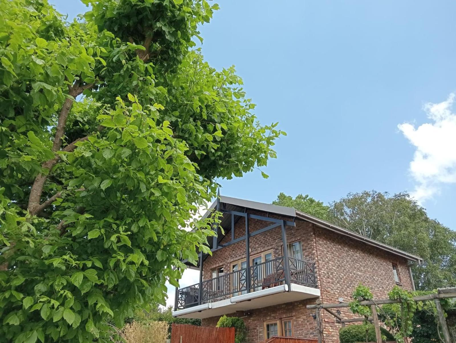 Fairview Cottages Clarens Kültér fotó